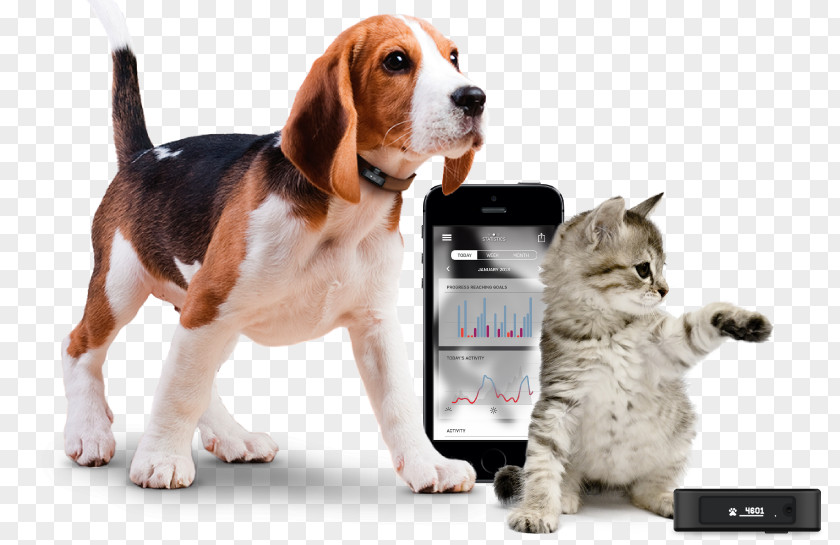 Cat Dog Pet Global Positioning System Activity Tracker PNG