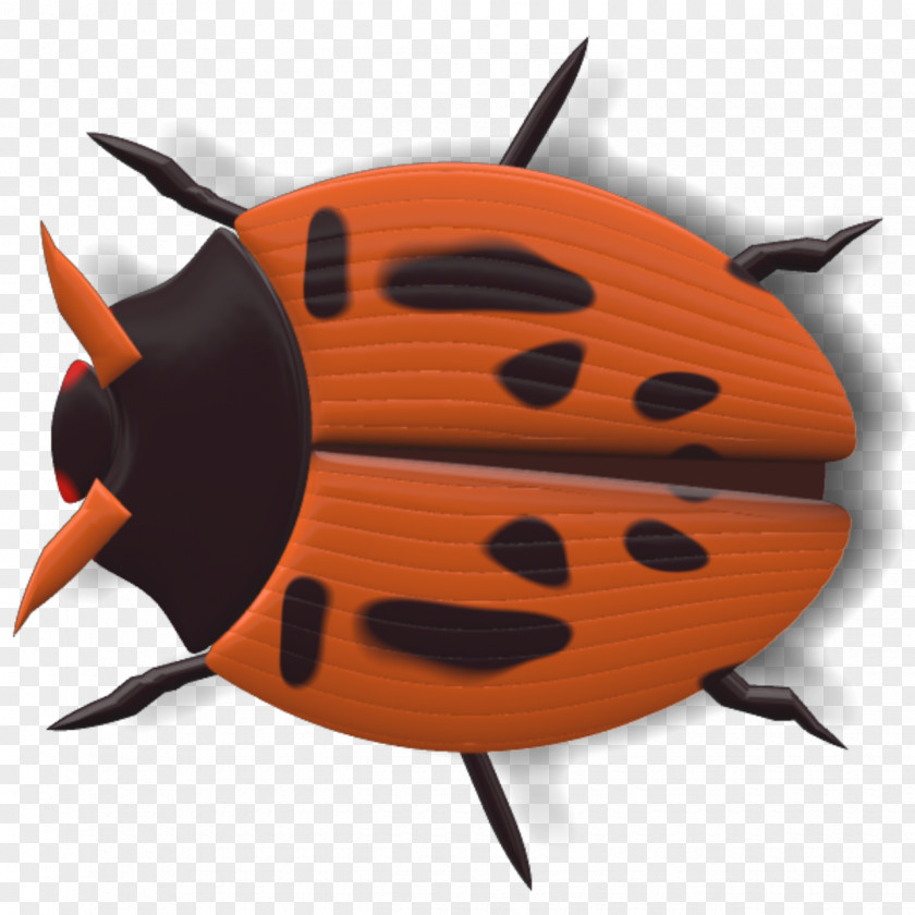Insect Ladybird Beetle PNG