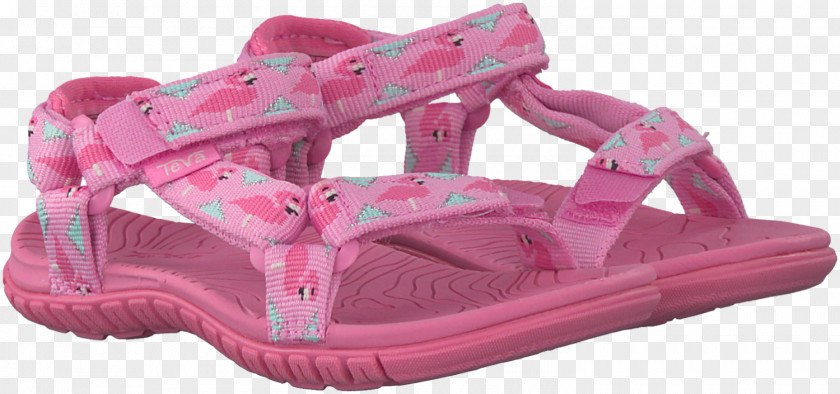 Sandal Shoe Footwear Sneakers Slide PNG
