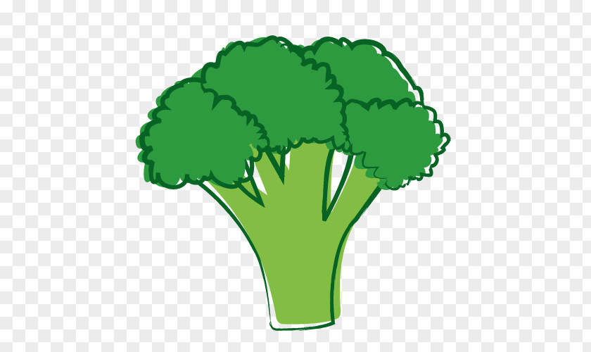 Tree Leaf Vegetable Clip Art PNG