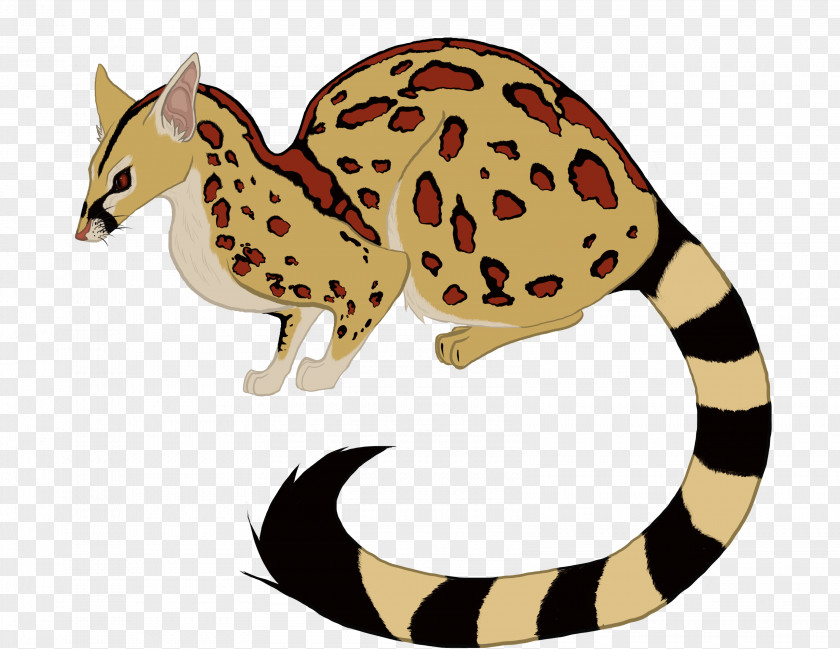Genet Civet Carnivora Animal Clip Art PNG