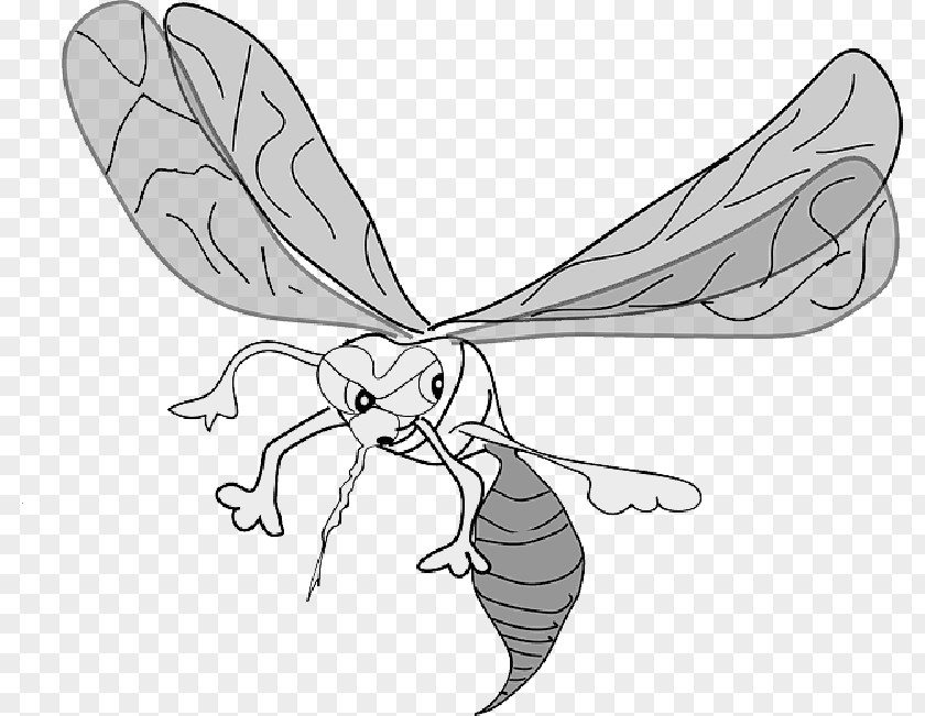 Insect Wings Mosquito Clip Art Vector Graphics Drawing PNG
