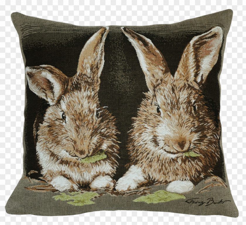 Pillow Domestic Rabbit Cushion Throw Pillows European PNG