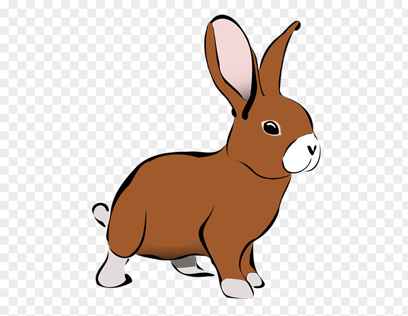 Rabbit Domestic Clip Art PNG