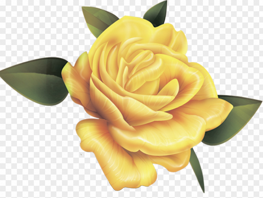 Rose Desktop Wallpaper Yellow Valentine's Day PNG