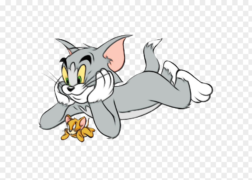 Tom Cat Jerry Mouse Nibbles And Animated Series PNG