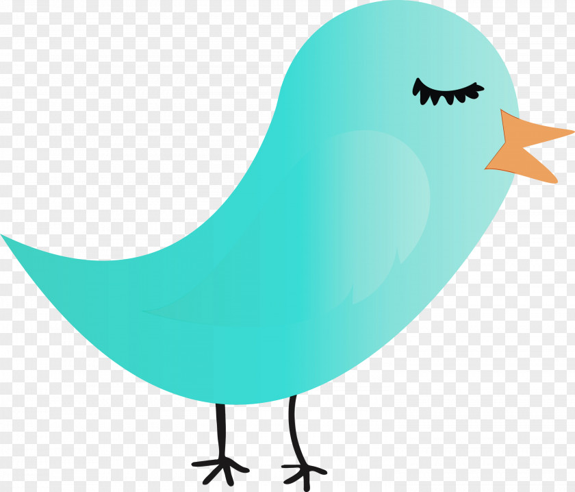 Cartoon Turquoise Bird Beak PNG