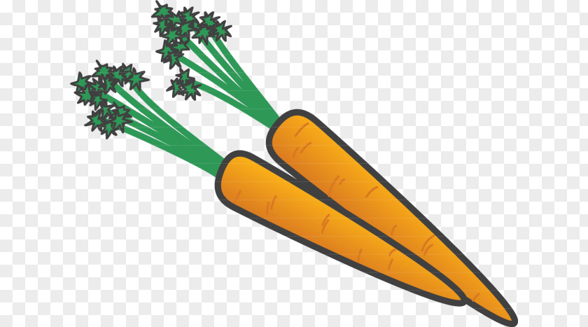 Cenouras Flyer Carrot Vitamin A Beta-Carotene Chemistry PNG