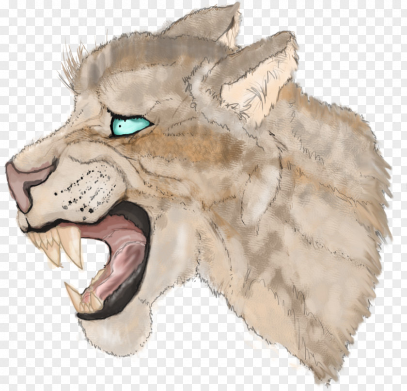 Lion Whiskers Dog Snout /m/02csf PNG