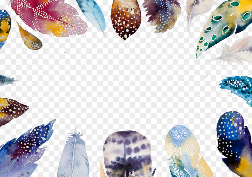 Painted Feather Pattern Watercolor Painting Boho-chic Illustration PNG
