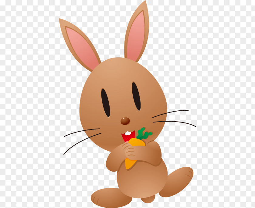 Rabbits Eat Carrots Bugs Bunny Cartoon Rabbit Animal PNG