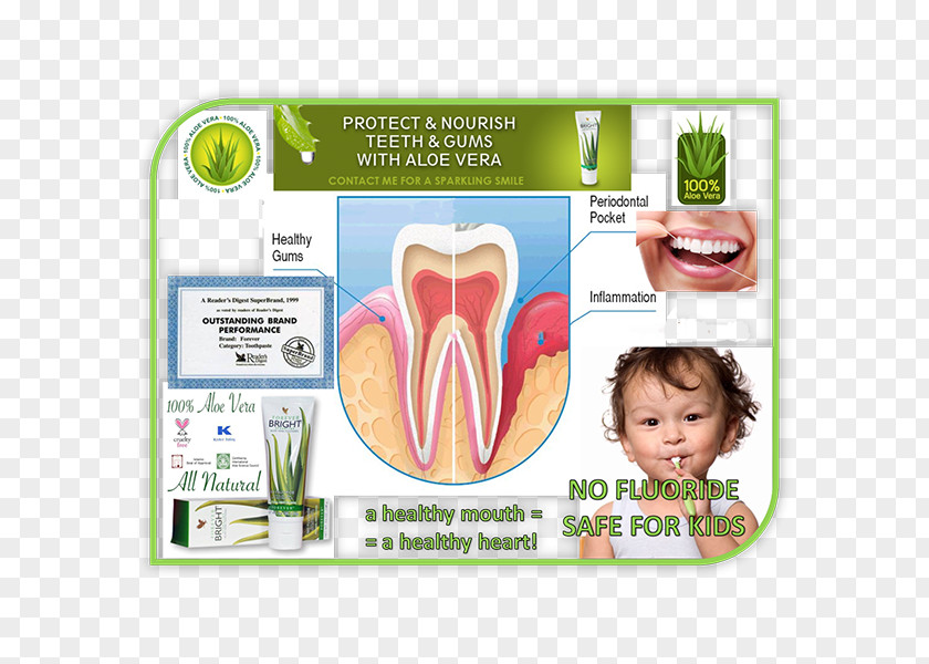 Toothpaste Aloe Vera Forever Living Products Fluoride PNG
