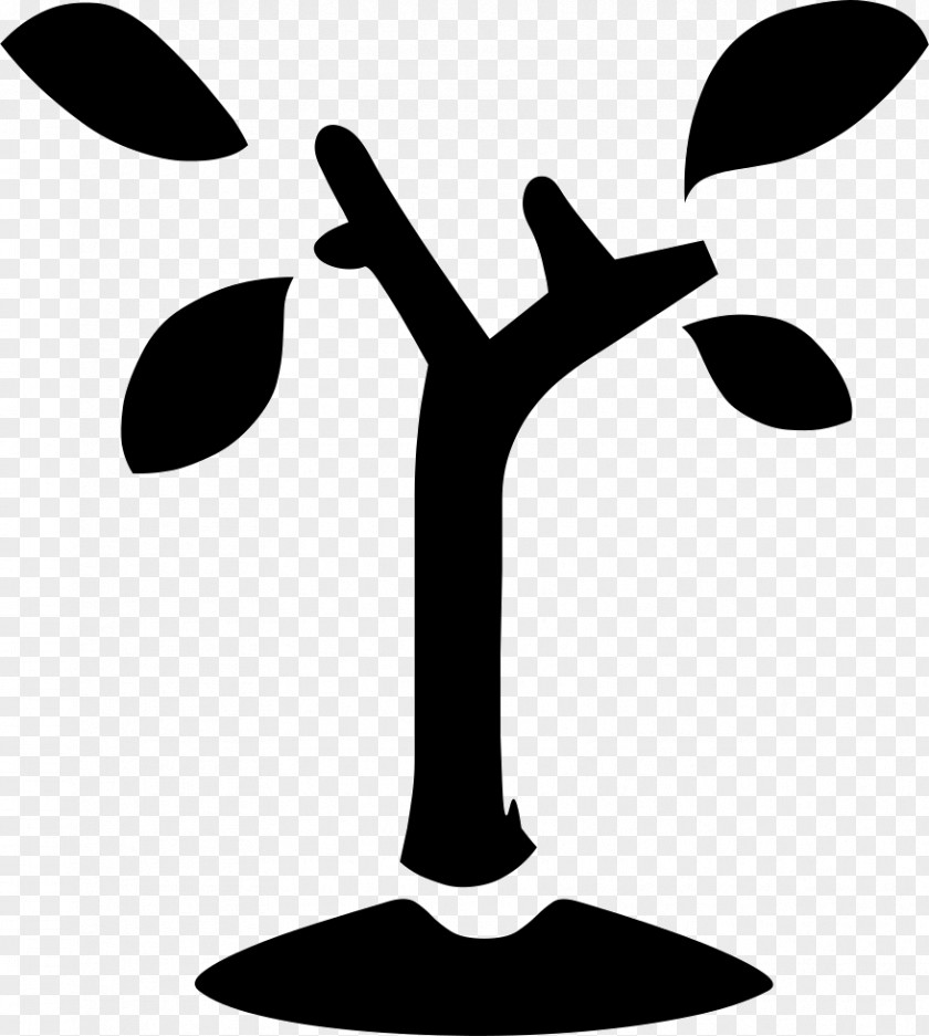 Tree Clip Art PNG