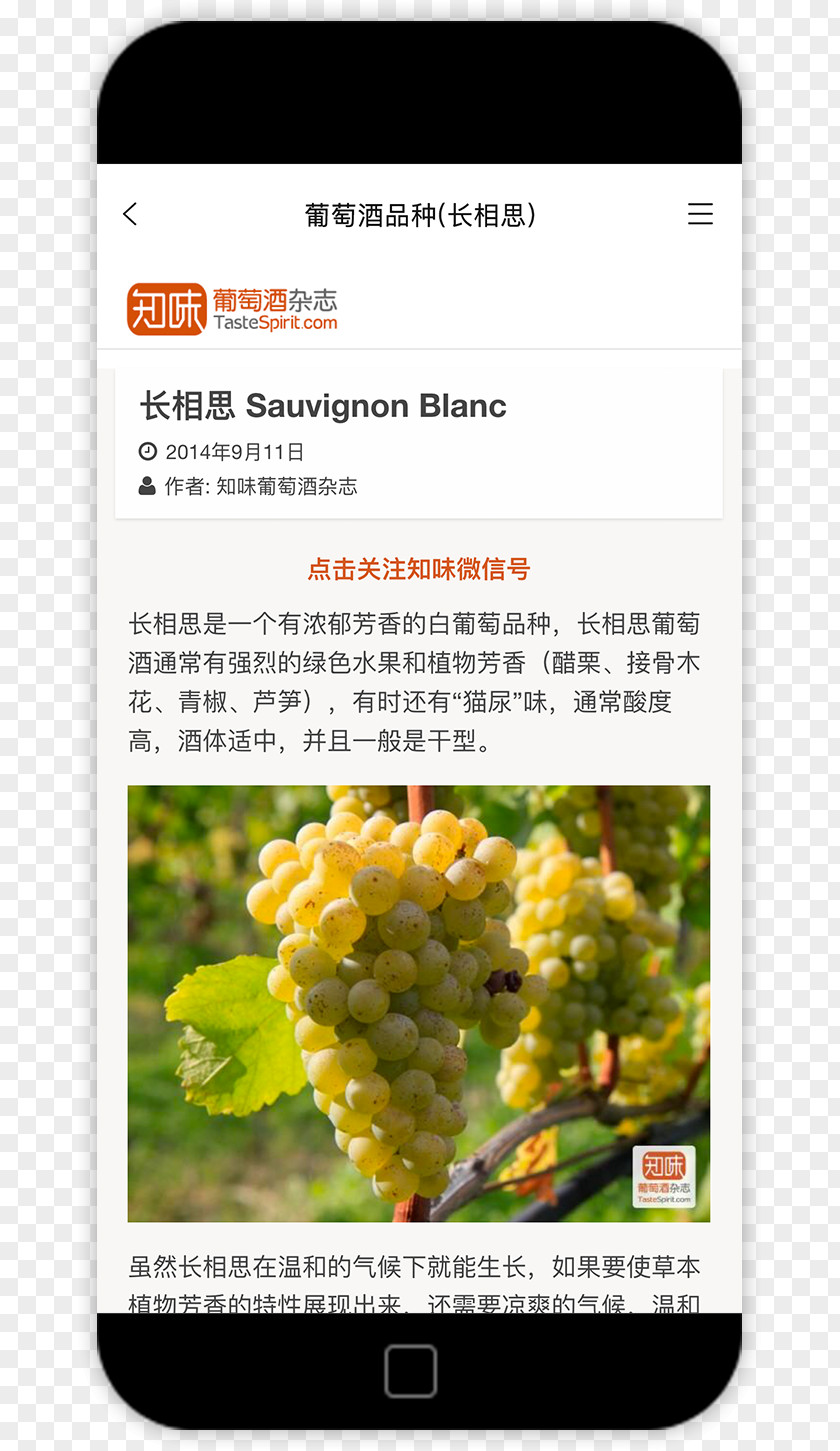 Wine Tree Zixia Sun Wukong Pak Jing-Jing Journey To The West Macro-objectief PNG