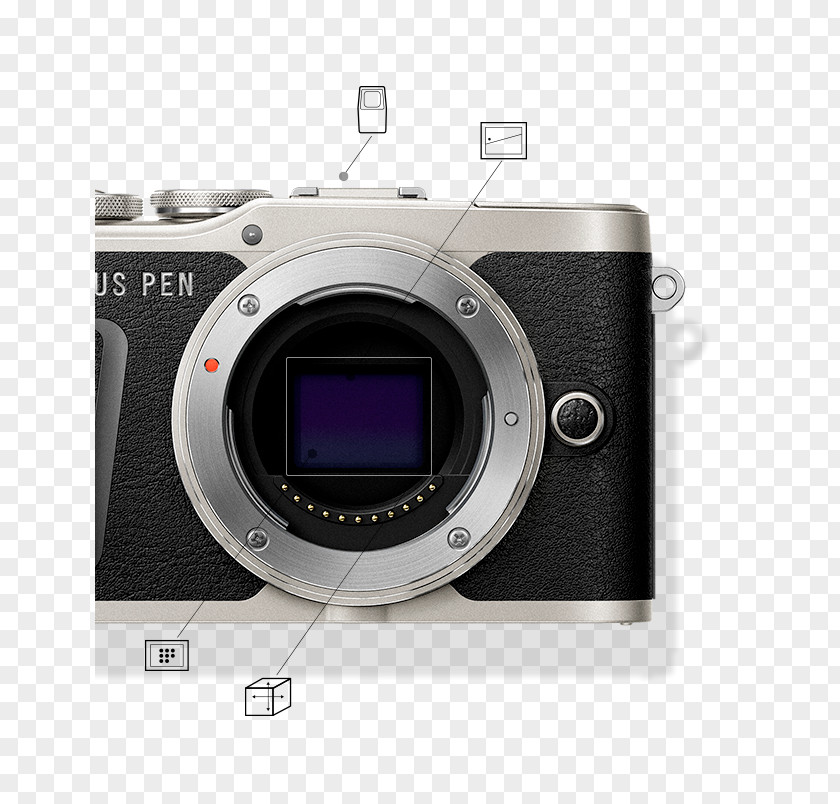 Camera Olympus PEN E-PL7 E-PL9 Mirrorless Interchangeable-lens PNG