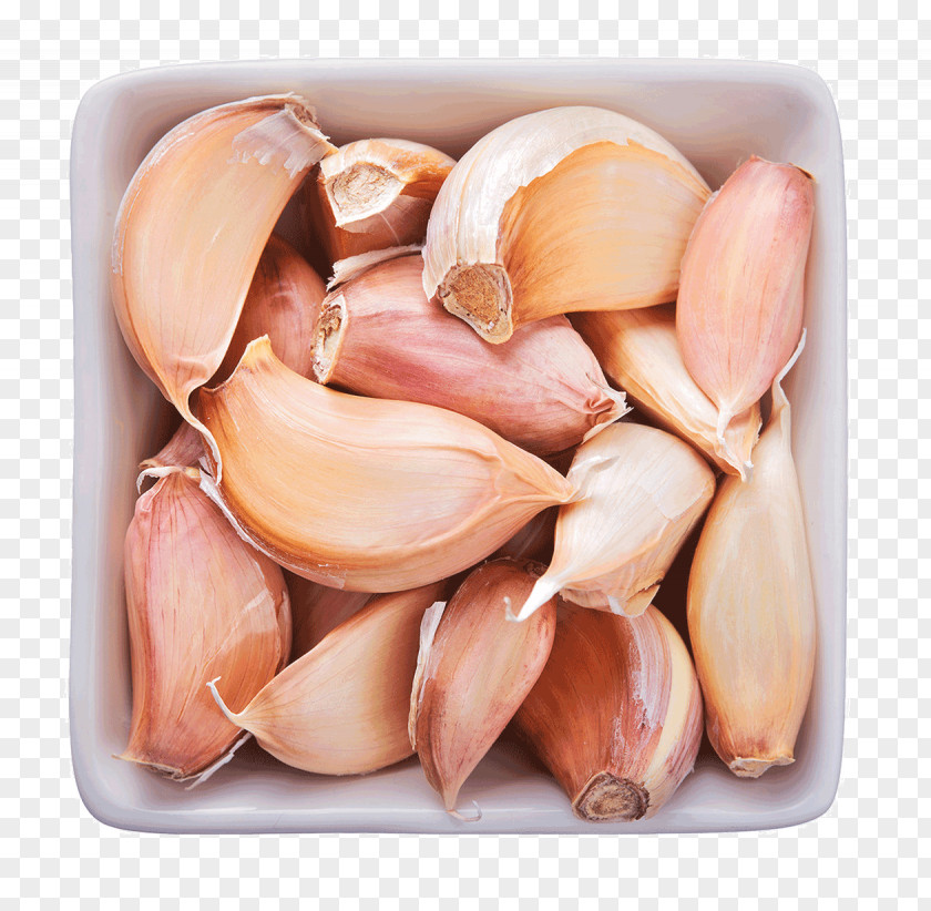 Garlic Condiment Food Spice Turmeric PNG