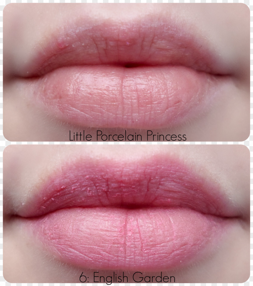 Lipstick Lip Gloss Tony Moly Petite Bunny Bar Color PNG