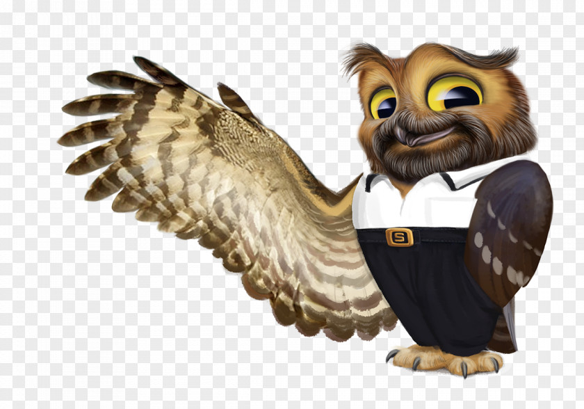 Owl Character Model Sheet PNG