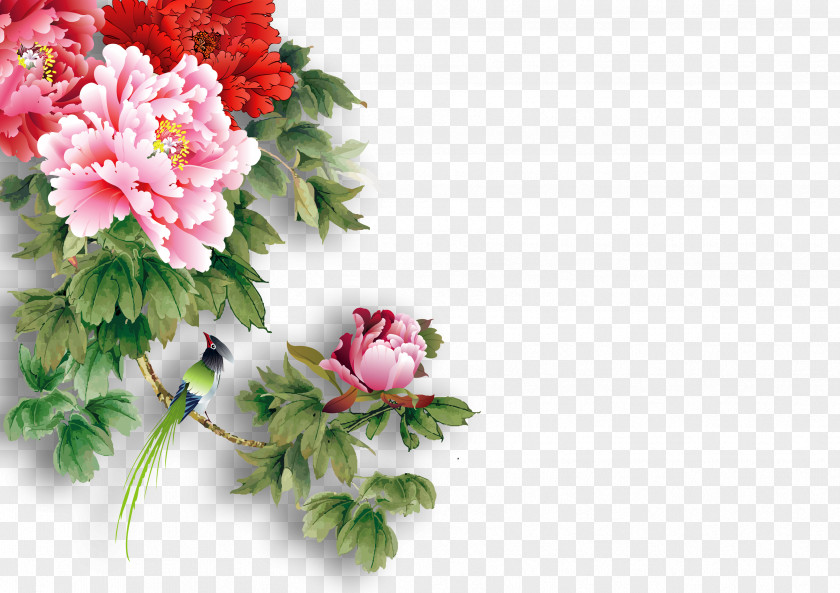 Peony Download PNG