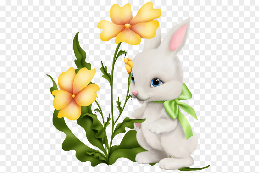 Rabbit Easter Bunny PNG