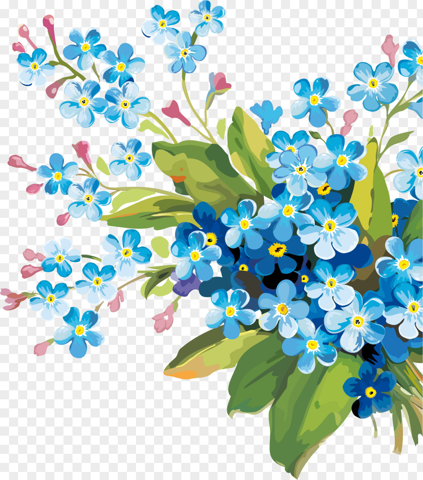 Borage Family Wildflower Flower Plant Forget-me-not Branch Flowering PNG