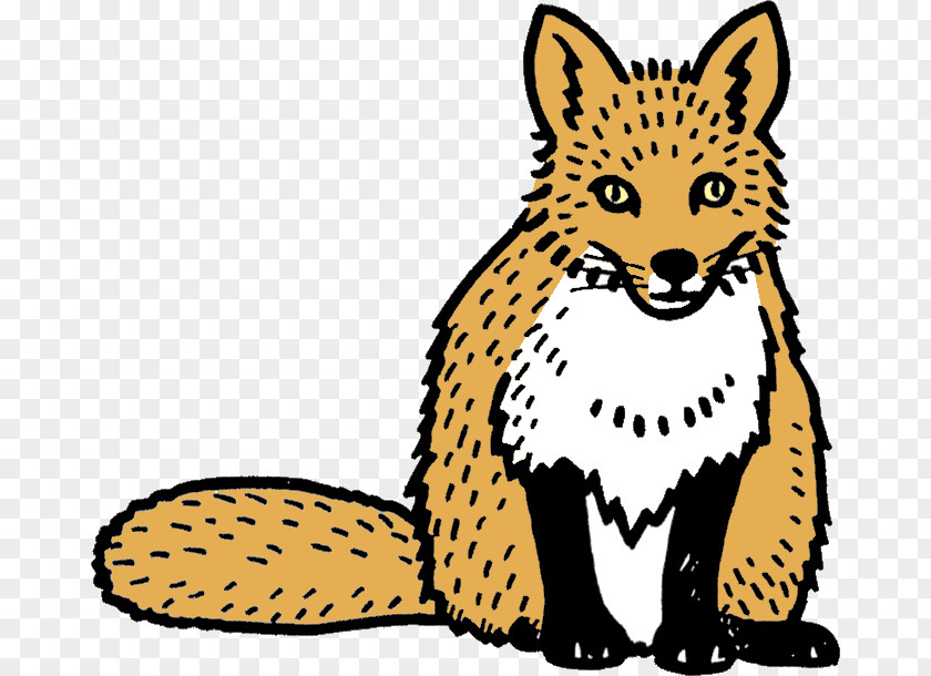 Cat Whiskers Wildcat Red Fox Terrestrial Animal PNG