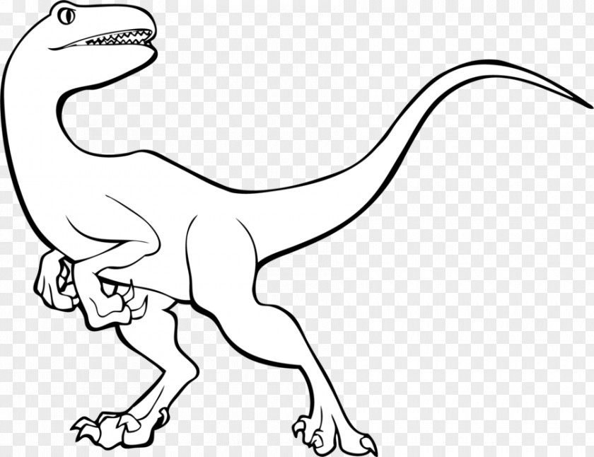 Dinosaur Vector Tyrannosaurus Velociraptor Line Art Triceratops PNG