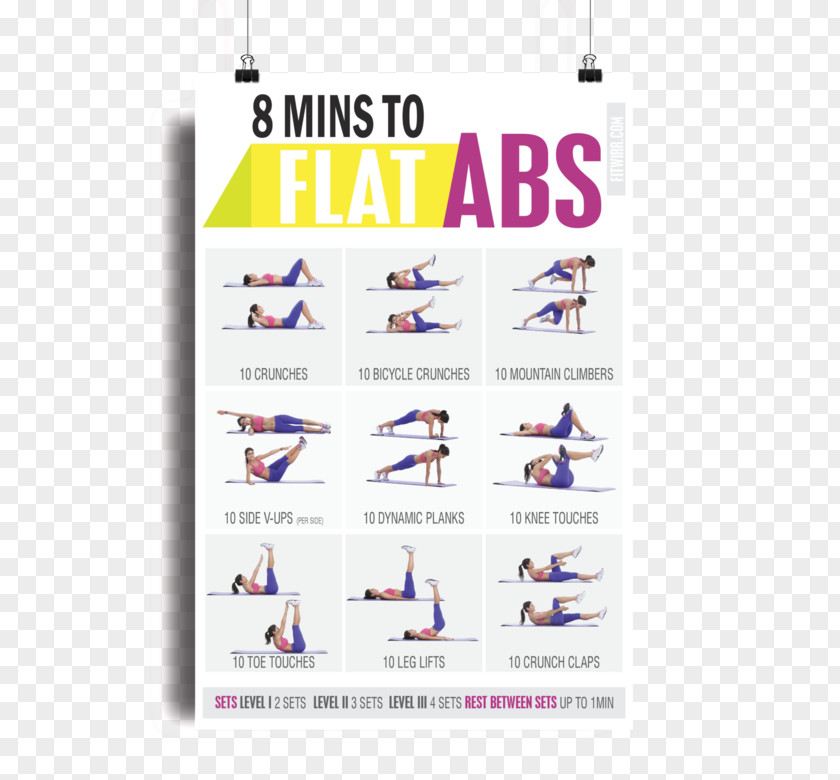 Nuts Posters Abdominal Exercise Core Bodyweight Rectus Abdominis Muscle PNG