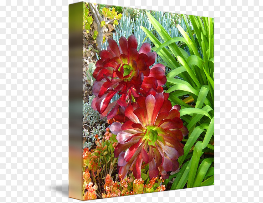 Painting Floral Design Art Canvas Print PNG