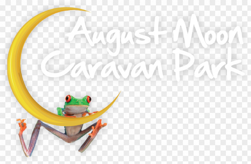 Moonfrog Innisfail Logo Tourism Brand PNG