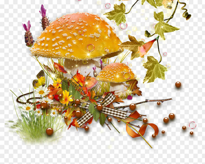 Mushroom Fungus Vegetarian Cuisine Clip Art PNG