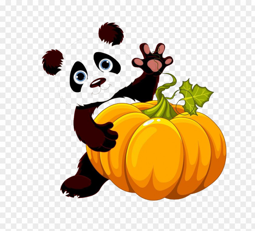 Panda Giant Bear Red Clip Art PNG