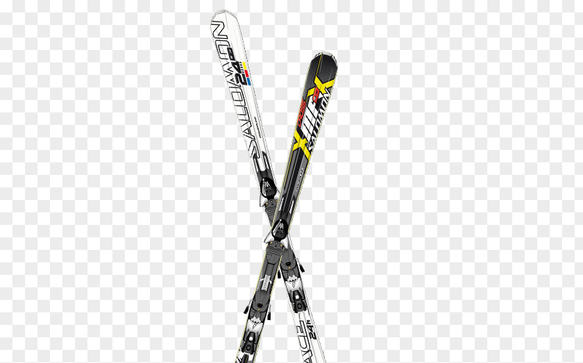 Skiing PNG clipart PNG