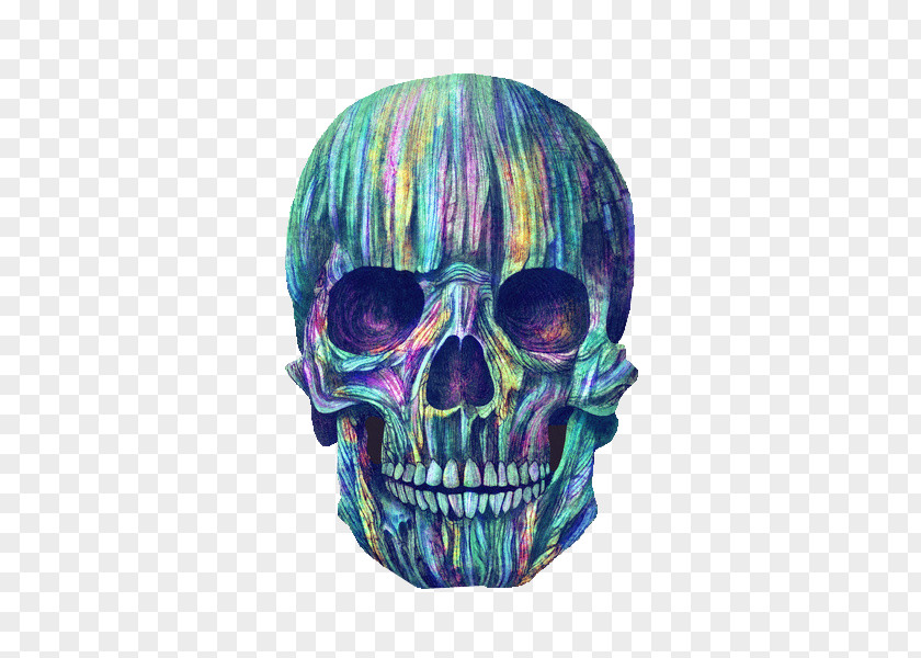 Skull Human Symbolism Color Calavera Skeleton PNG