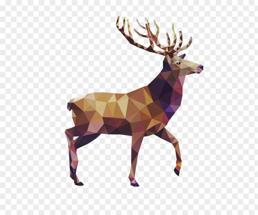 Deer Geometry Drawing Art PNG