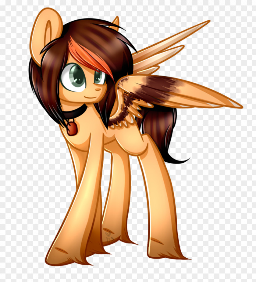 Fairy Illustration Horse Cartoon Insect PNG