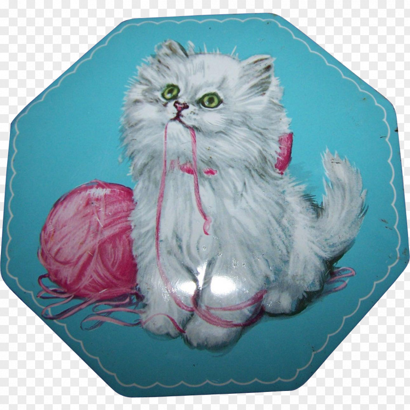 Kitten Whiskers Domestic Short-haired Cat Catti Sport Srl PNG
