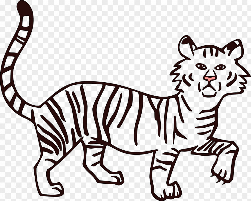 Lion Bengal Tiger Drawing White Clip Art PNG