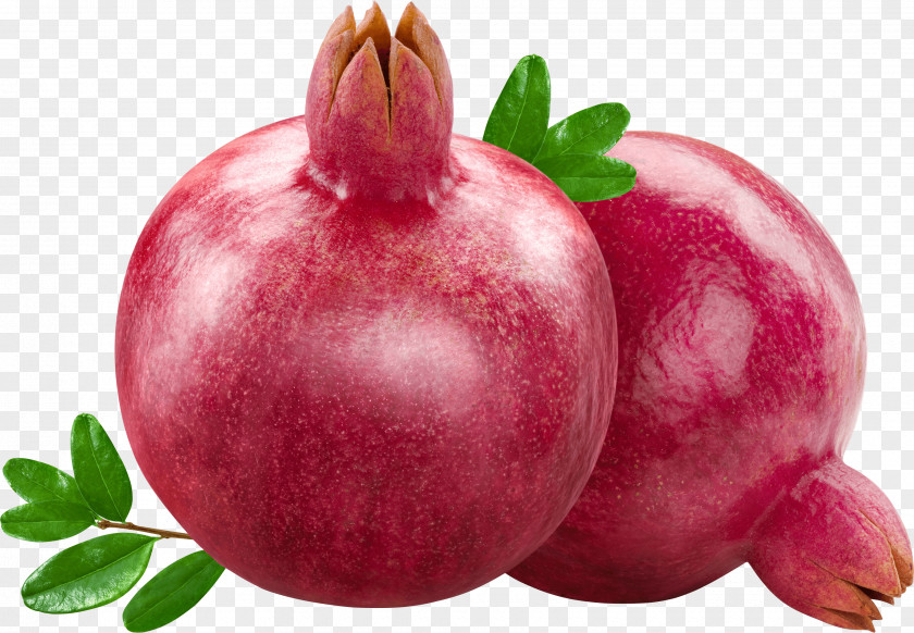 Pomegranate Image Fruit Plum PNG