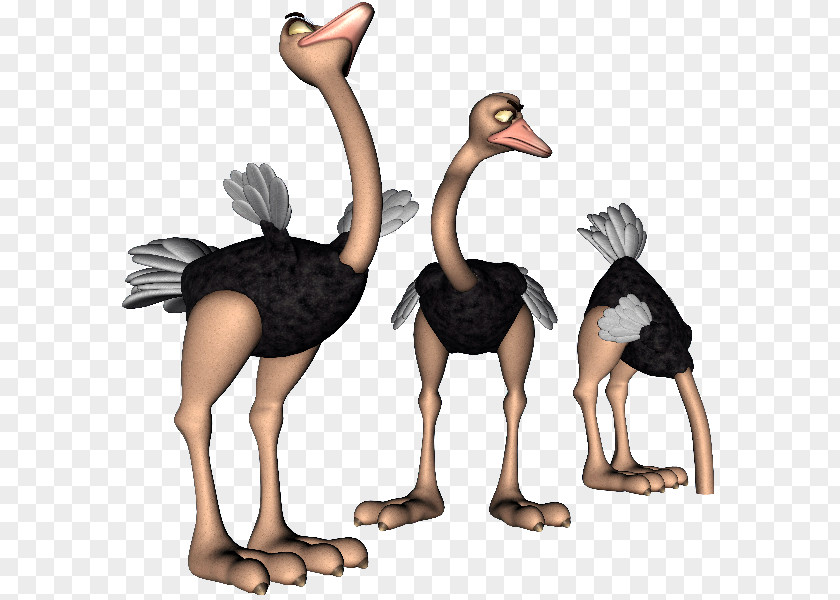 Common Ostrich Cartoon Drawing Clip Art PNG