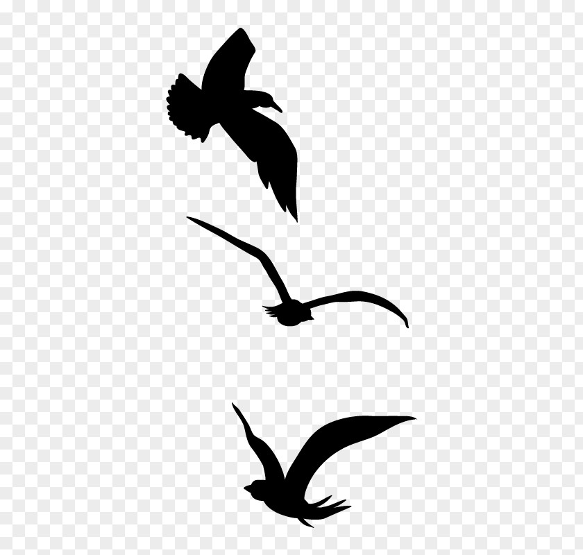 Eagle Feather Beak Silhouette Clip Art PNG