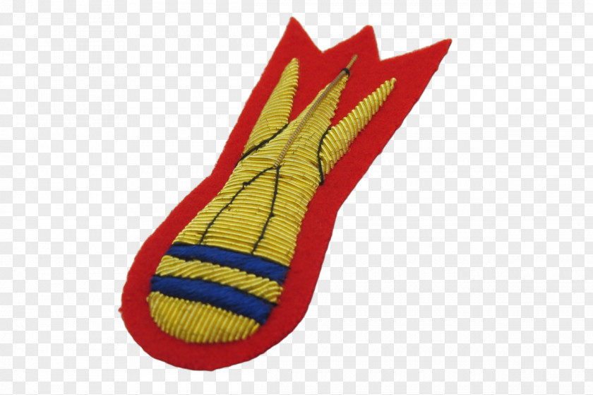 Embroidery Shoe PNG