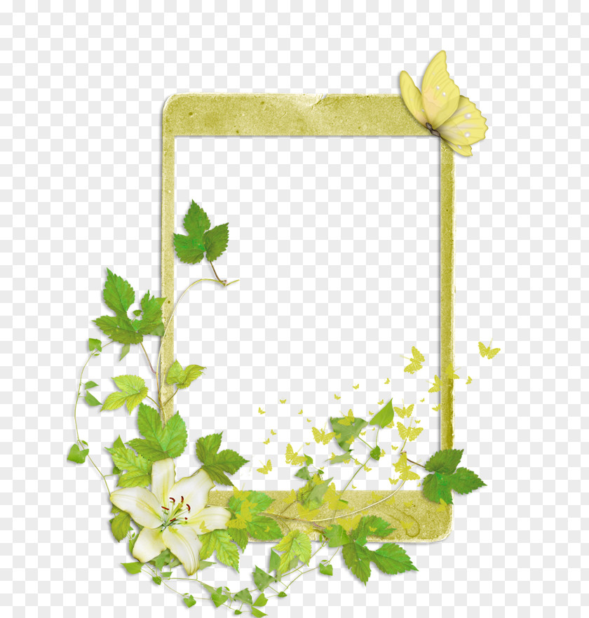 Hn S Floral Design Download Flower PNG