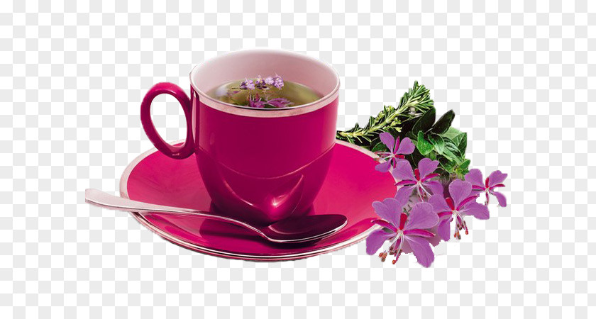 Tea Earl Grey Coffee Cup Saucer PNG