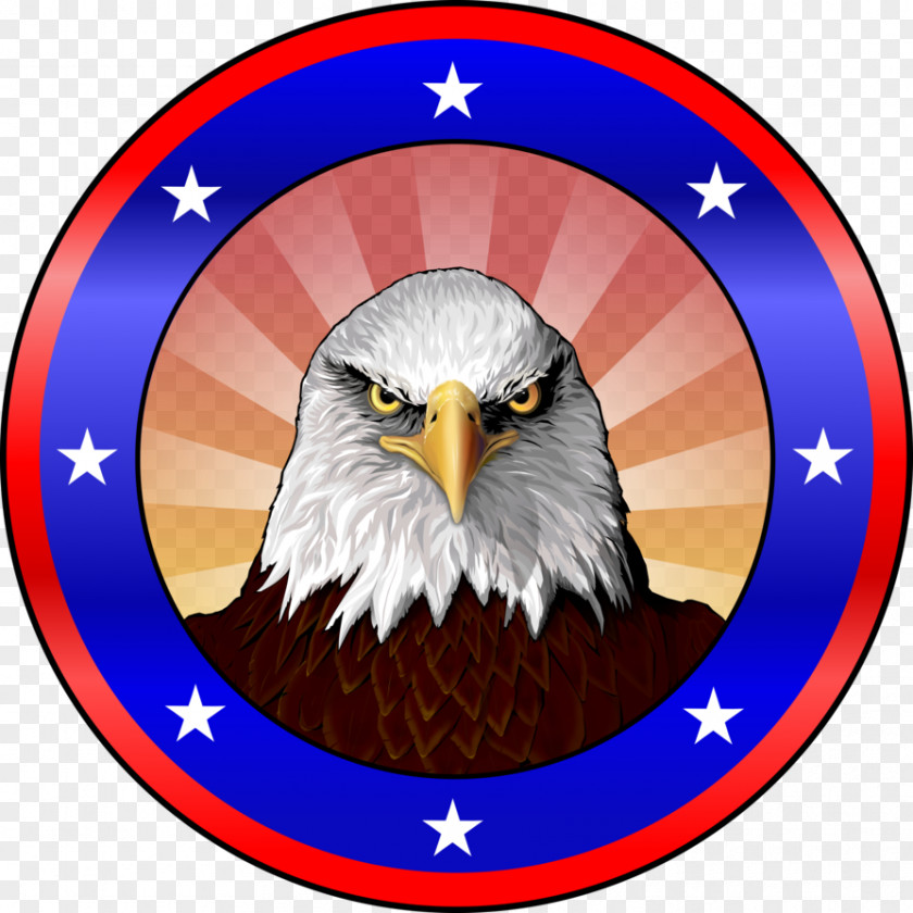 United States Bald Eagle Clothing T-shirt Zazzle PNG