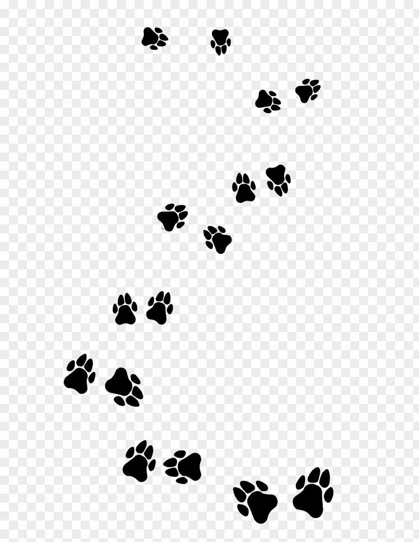 Beautiful Black Puppy Footprints Central Asian Shepherd Dog Cat Paw PNG