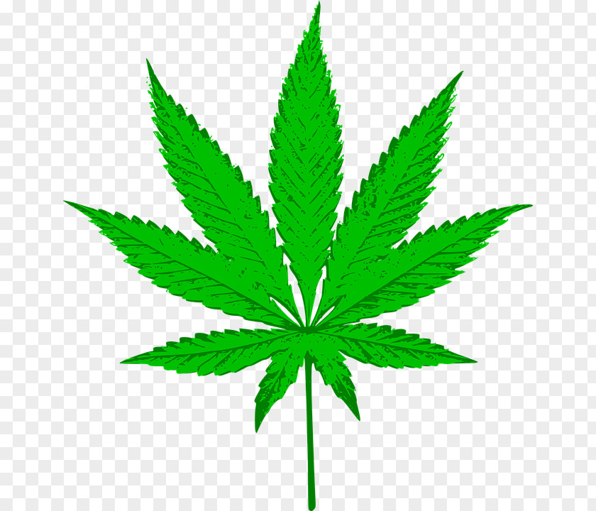 Cannabis Hash, Marihuana & Hemp Museum Leaf Clip Art PNG