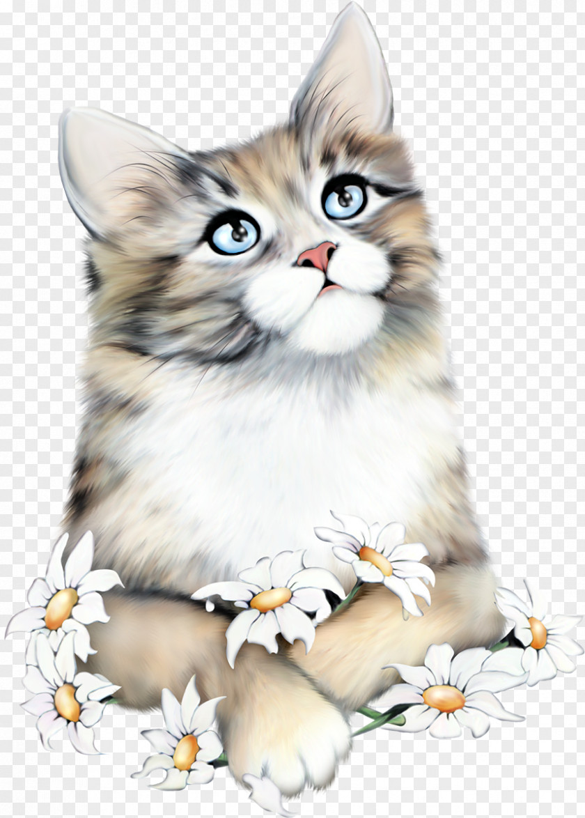 Cat Why Paint Cats Kitten Clip Art Image PNG
