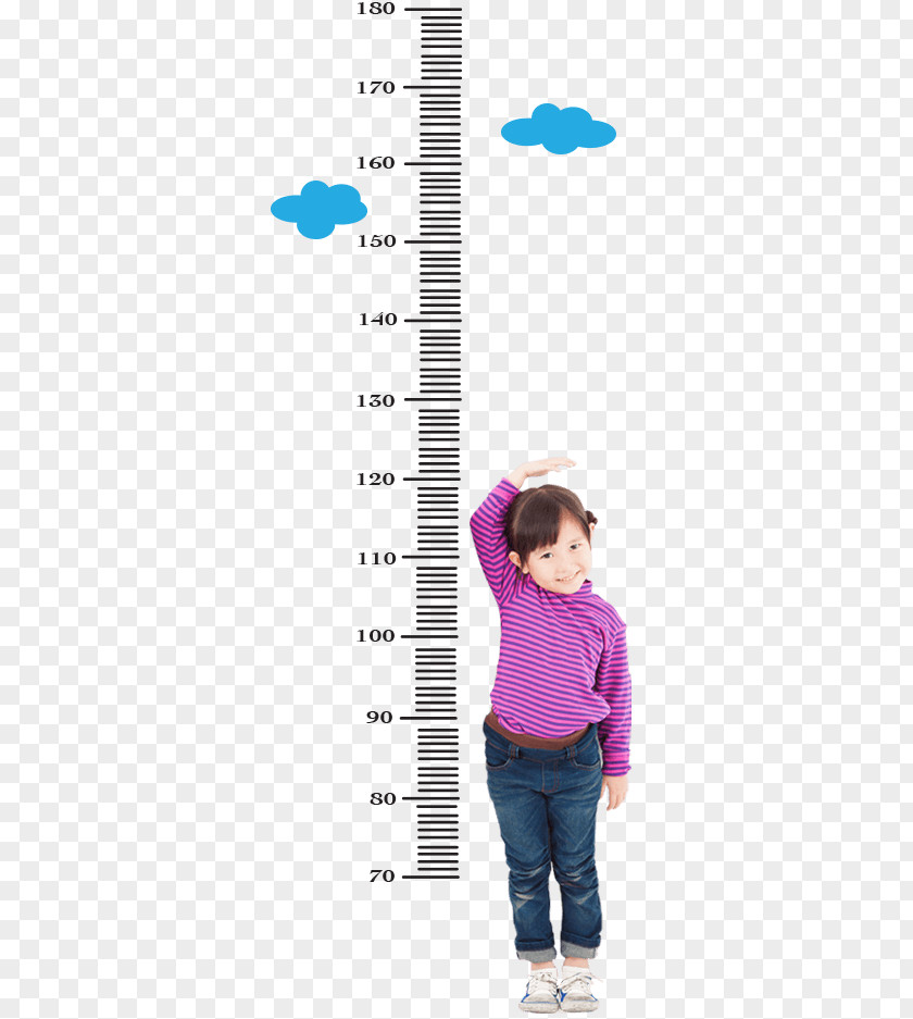 Childrens Height Toddler Human Growth Chart Child Measurement PNG