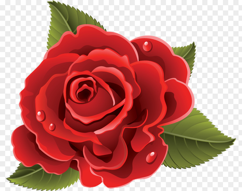 Fl[ating Rose Flower Blog PNG